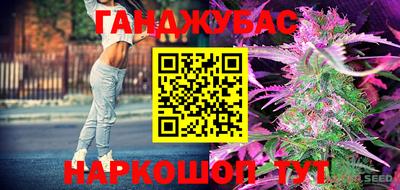 дживик Славгород