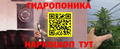 дживик Славгород